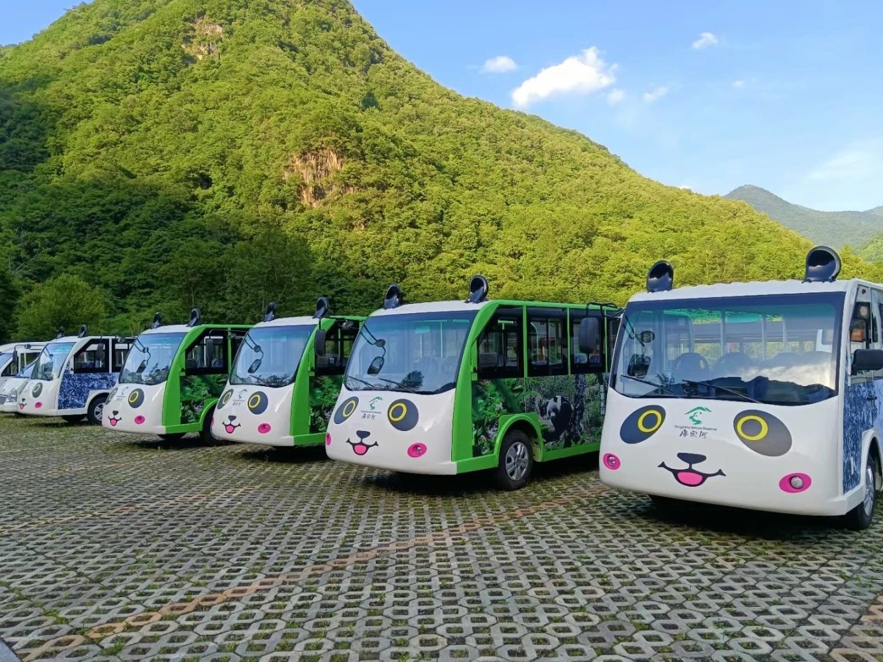 【购买电动观光车的客户】买电动观光车，你最该问点啥？