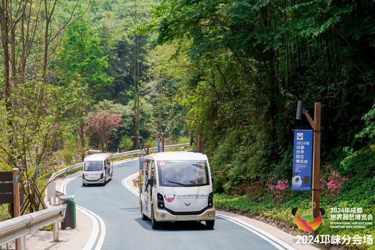 买观光车不是“一锤子买卖”，我们想和您聊聊售后的大实话